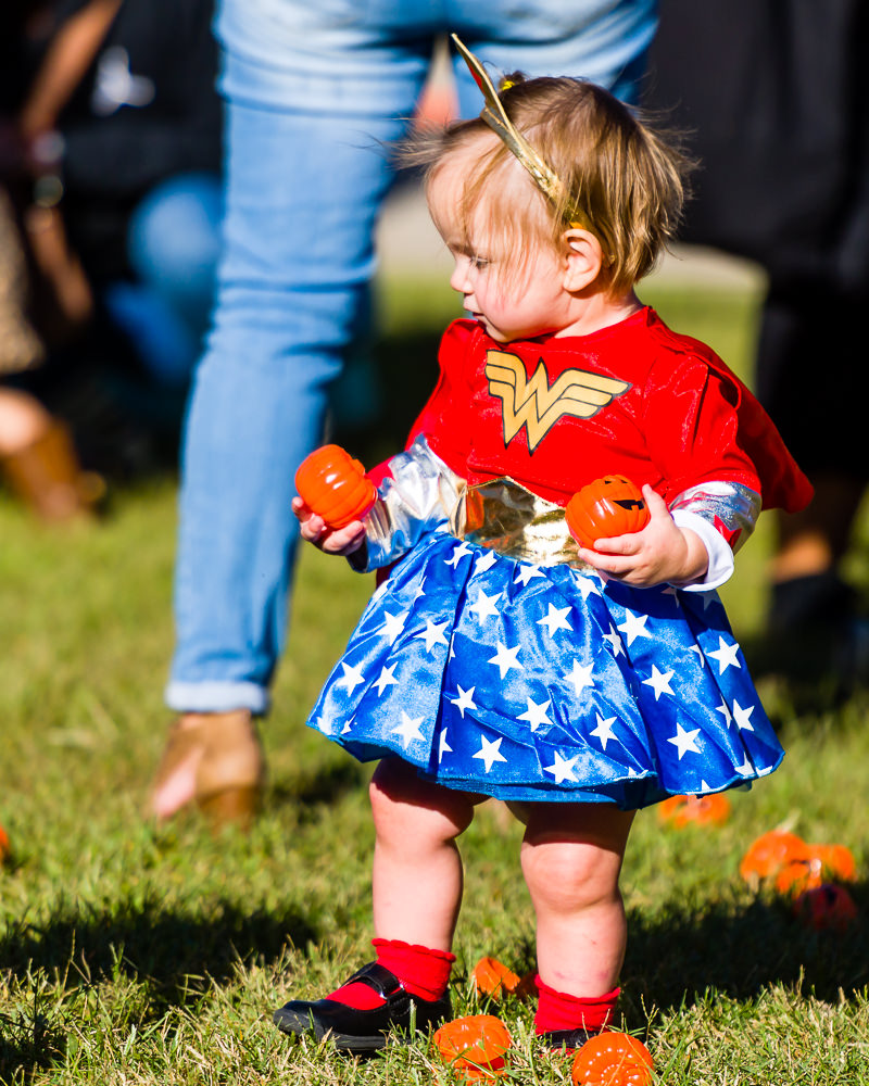 3182-Bellaire-PumpkinHunt-089.NEF  Houston Commercial Architectural Photographer Dee Zunker