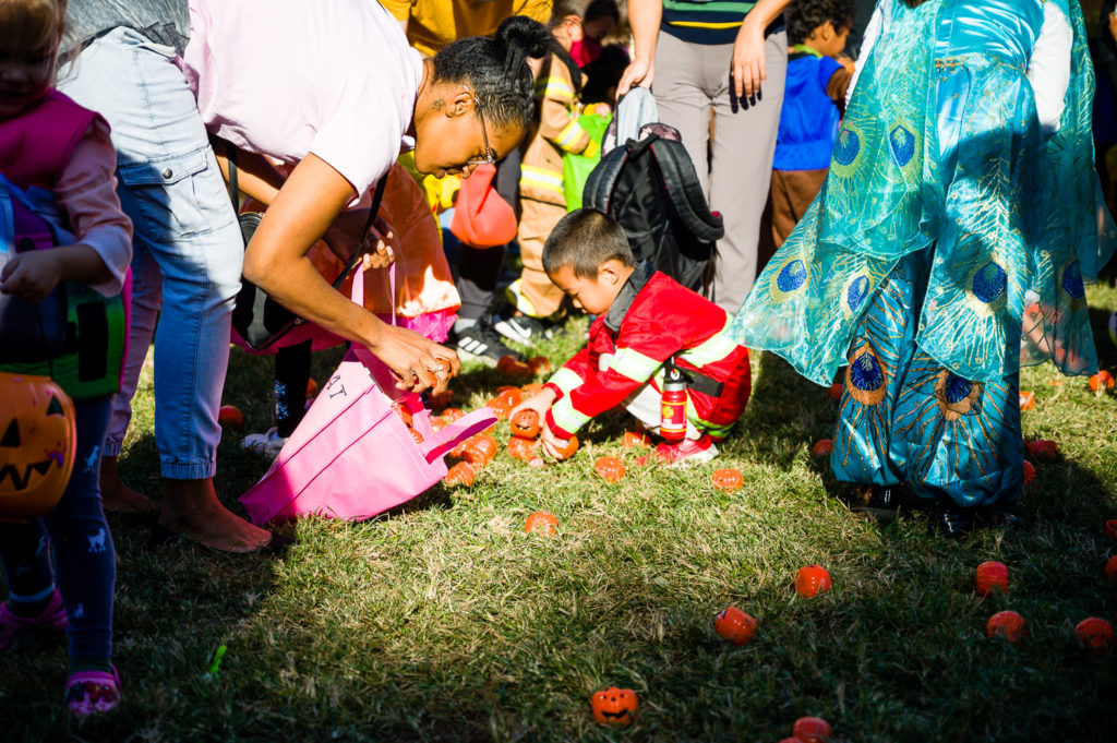 3182-Bellaire-PumpkinHunt-094.NEF  Houston Commercial Architectural Photographer Dee Zunker