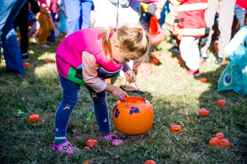 3182-Bellaire-PumpkinHunt-096.NEF  Houston Commercial Architectural Photographer Dee Zunker