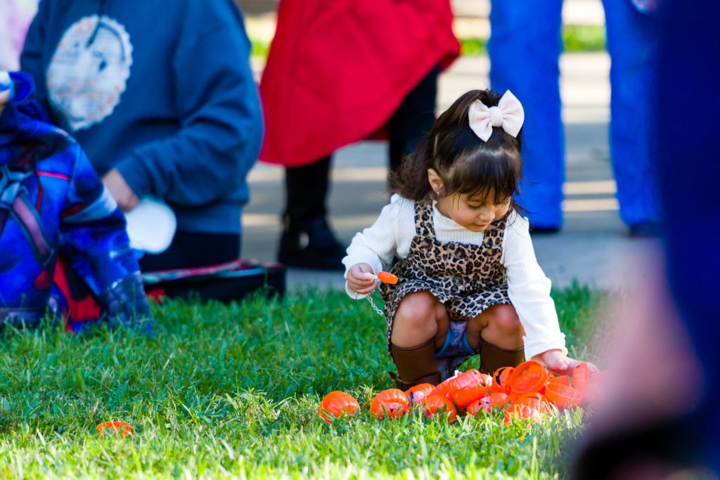 3182-Bellaire-PumpkinHunt-124.NEF  Houston Commercial Architectural Photographer Dee Zunker