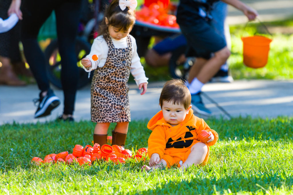 3182-Bellaire-PumpkinHunt-126.NEF  Houston Commercial Architectural Photographer Dee Zunker