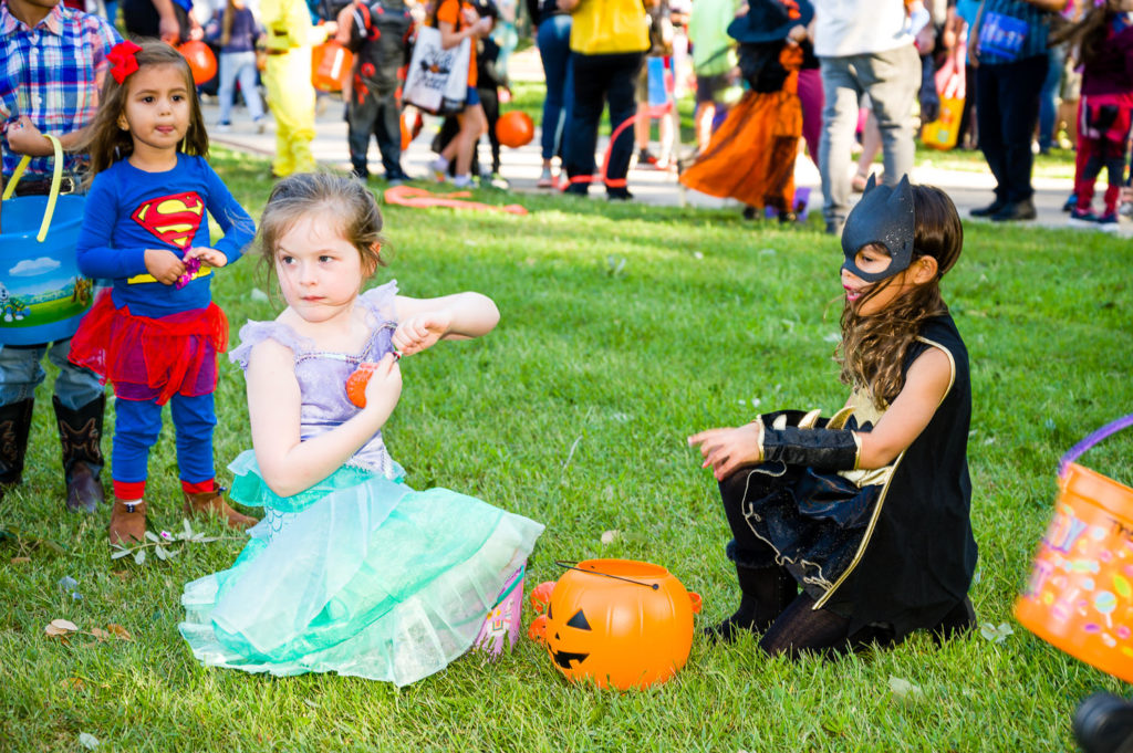 3182-Bellaire-PumpkinHunt-138.NEF  Houston Commercial Architectural Photographer Dee Zunker