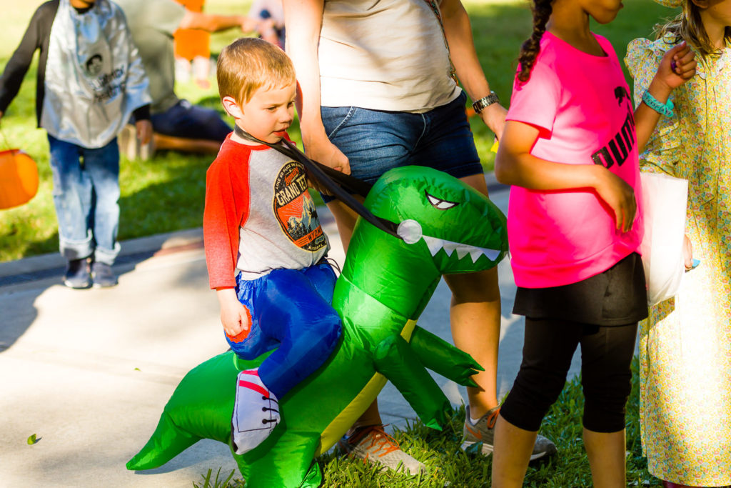 3182-Bellaire-PumpkinHunt-141.NEF  Houston Commercial Architectural Photographer Dee Zunker