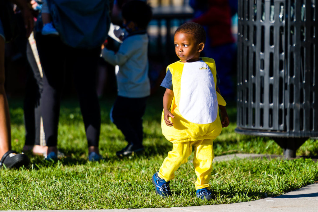 3182-Bellaire-PumpkinHunt-159.NEF  Houston Commercial Architectural Photographer Dee Zunker