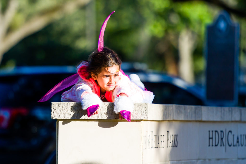 3182-Bellaire-PumpkinHunt-181.NEF  Houston Commercial Architectural Photographer Dee Zunker