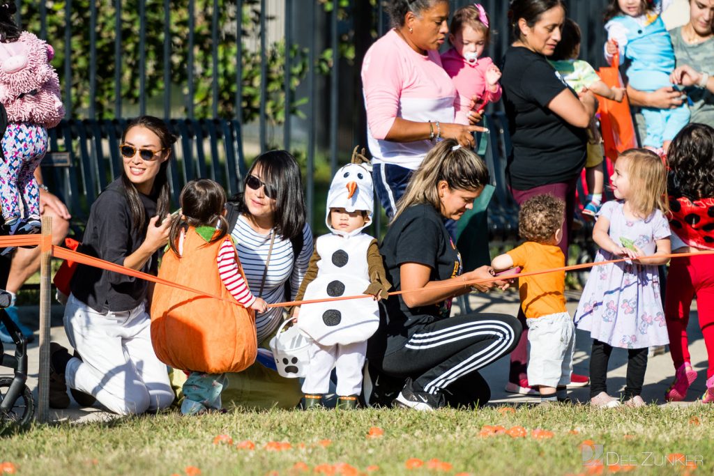 3382-Bellaire-PumpkinHunt2022-031.NEF  Houston Commercial Architectural Photographer Dee Zunker