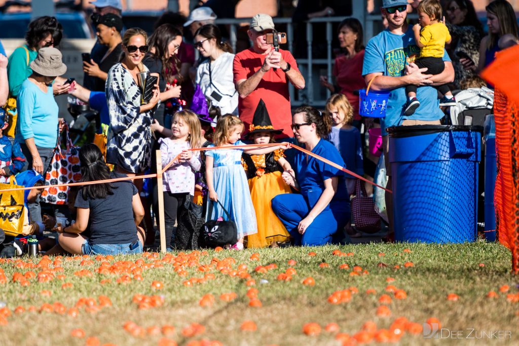 3382-Bellaire-PumpkinHunt2022-034.NEF  Houston Commercial Architectural Photographer Dee Zunker