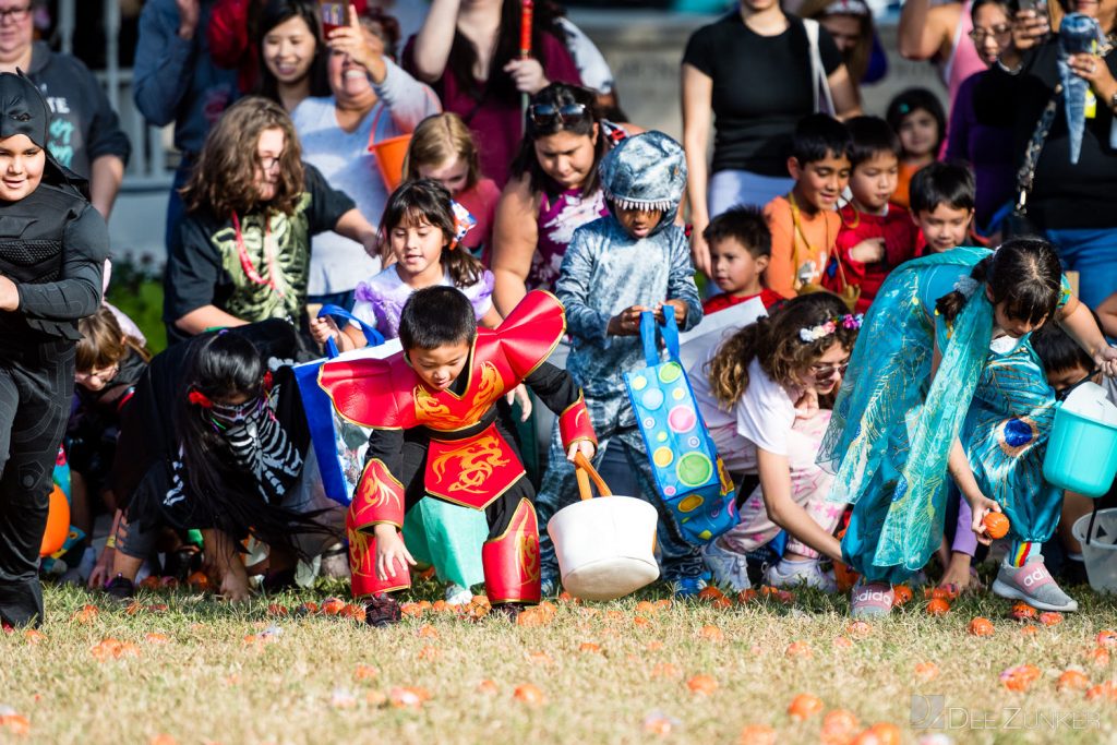 3382-Bellaire-PumpkinHunt2022-046.NEF  Houston Commercial Architectural Photographer Dee Zunker