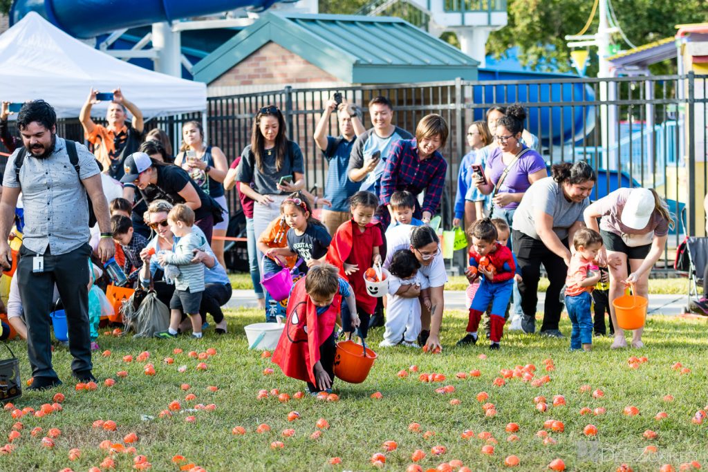 3382-Bellaire-PumpkinHunt2022-056.NEF  Houston Commercial Architectural Photographer Dee Zunker