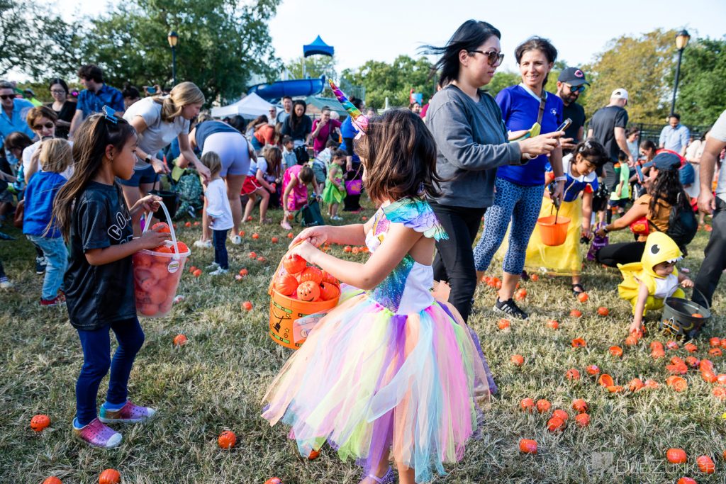 3382-Bellaire-PumpkinHunt2022-070.NEF  Houston Commercial Architectural Photographer Dee Zunker