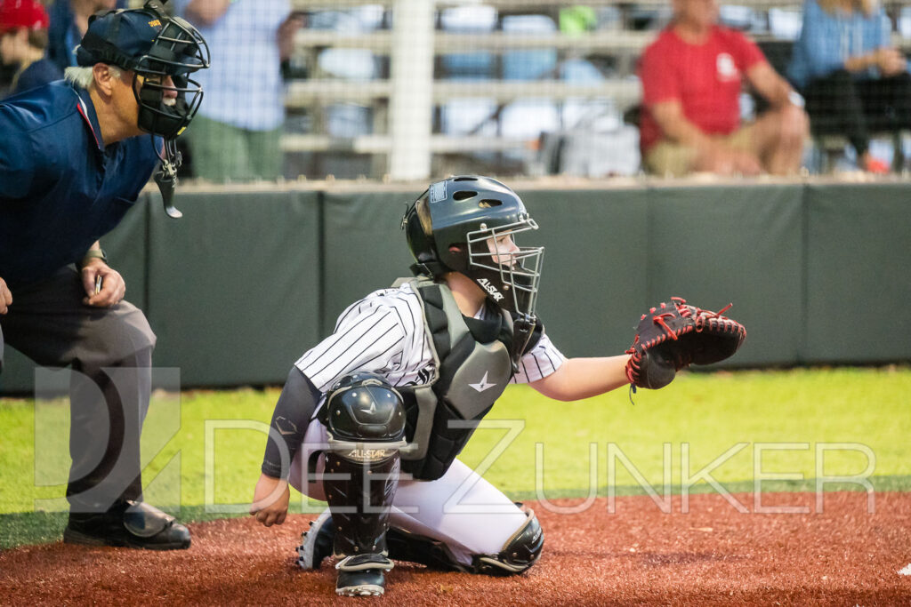 2024-BLL-AL-Rays-WhiteSox-033.NEF  Houston Commercial Architectural Photographer Dee Zunker