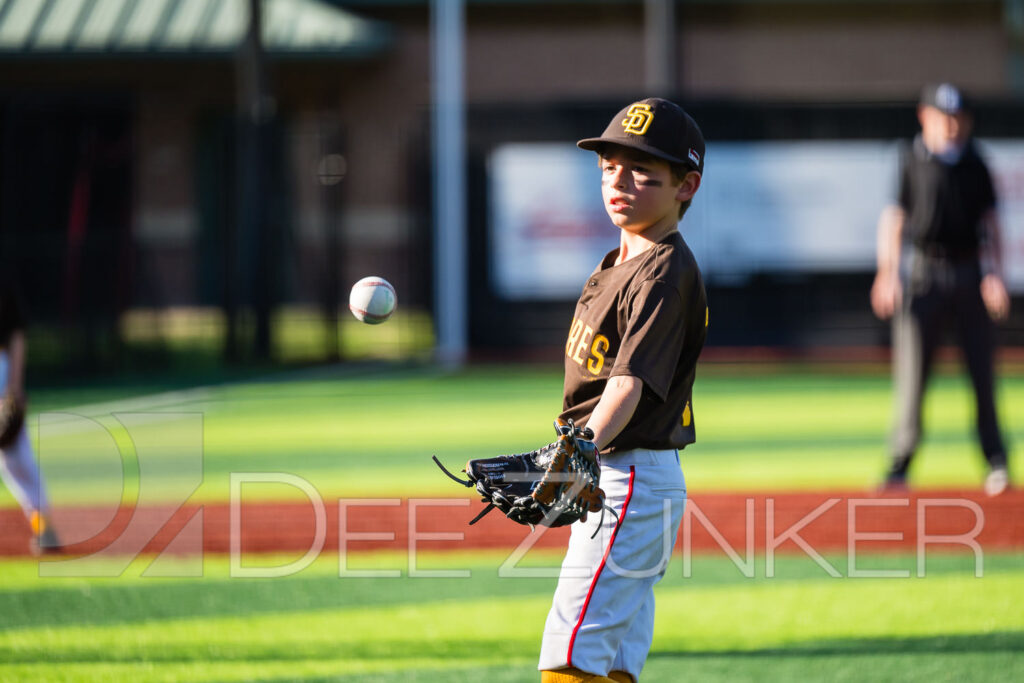 2024-BLL-NL-Giants-Padres-035.NEF  Houston Commercial Architectural Photographer Dee Zunker