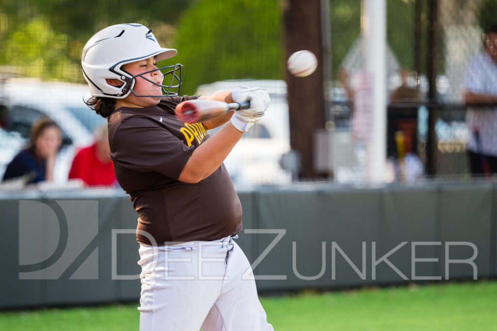 2024-BLL-NL-Giants-Padres-059.NEF  Houston Commercial Architectural Photographer Dee Zunker