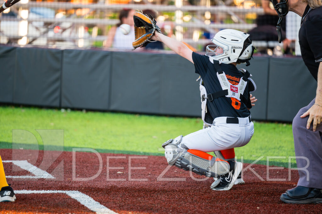 2024-BLL-NL-Giants-Padres-122.NEF  Houston Commercial Architectural Photographer Dee Zunker