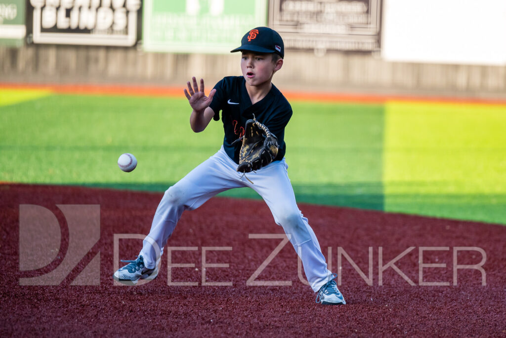 2024-BLL-NL-Giants-Padres-232.NEF  Houston Commercial Architectural Photographer Dee Zunker