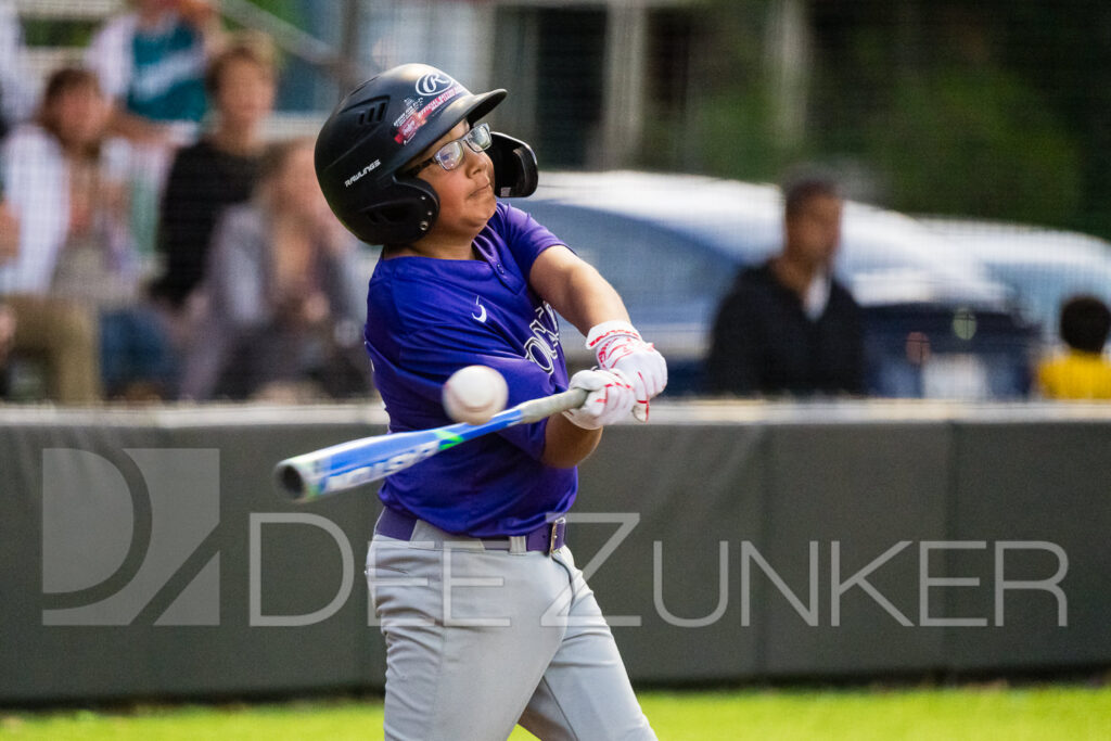 2024-BLL-NL-Mets-Rockies-077.NEF  Houston Commercial Architectural Photographer Dee Zunker