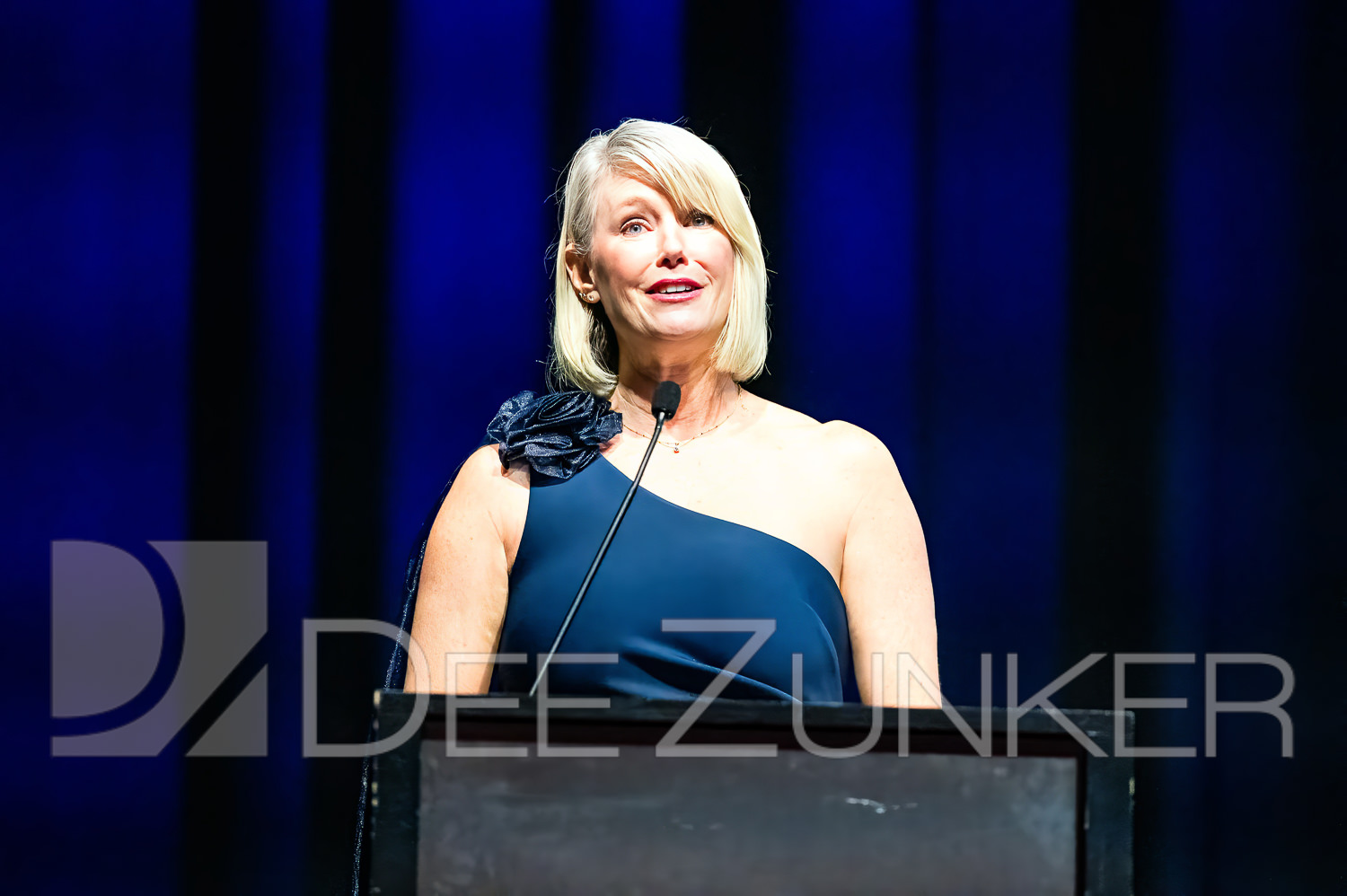 4056-AIAH-Gala2024-121.jpg  Houston Commercial Architectural Photographer Dee Zunker