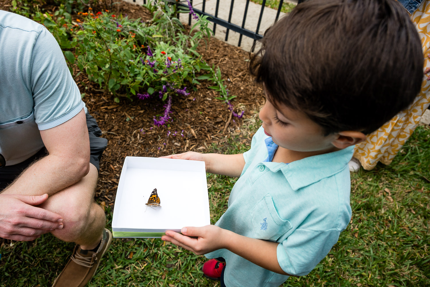Dedication of Blakely's Butterfly Installation at Joe Gaither Park in Bellaire, TX December 13, 2025