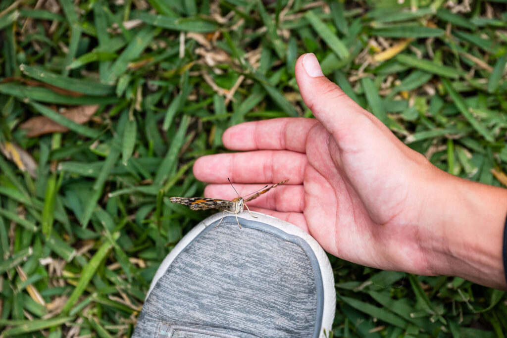 Dedication of Blakely's Butterfly Installation at Joe Gaither Park in Bellaire, TX December 13, 2025