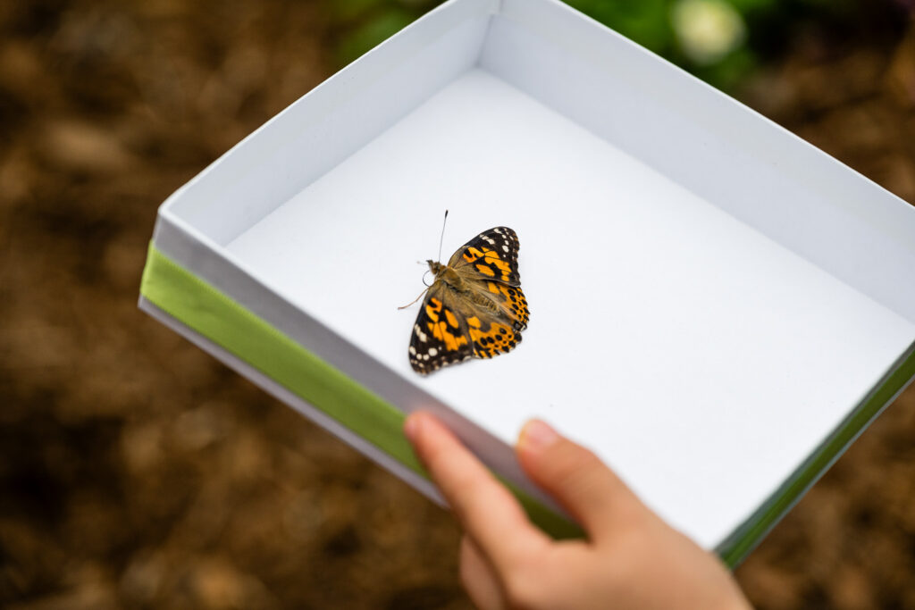 Dedication of Blakely's Butterfly Installation at Joe Gaither Park in Bellaire, TX December 13, 2025