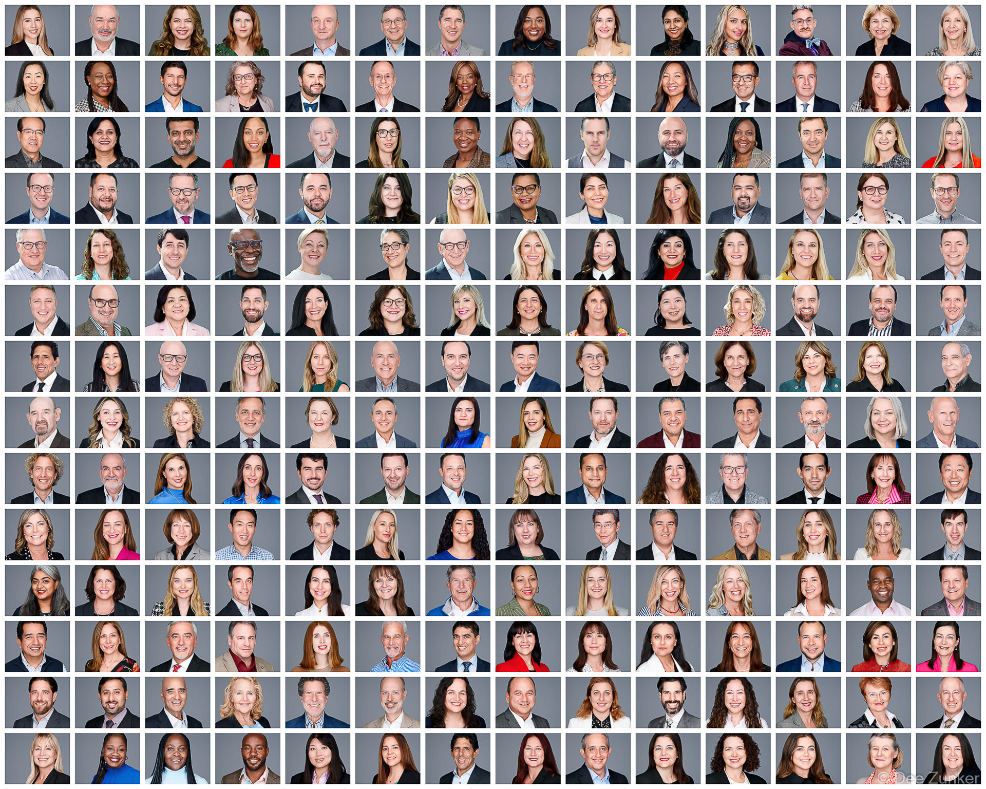 Composite grid of over 150 consistent, modern corporate headshots for a Houston conference, featuring diverse professionals on neutral gray backgrounds.