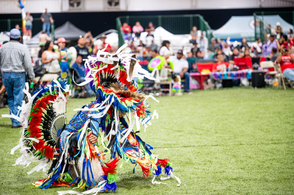 Grass dance competitor in vibrant feathered regalia performs at the Alabama-Coushatta 56th Annual Powwow, Livingston, Texas, June 2026.