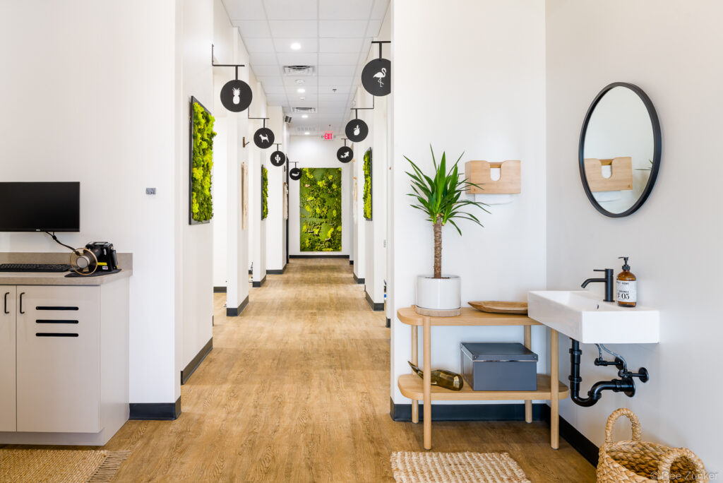 Bright modern dental office hallway with moss wall art, hanging decorative signs, wood floors, and a wall-mounted sink in Stafford TX