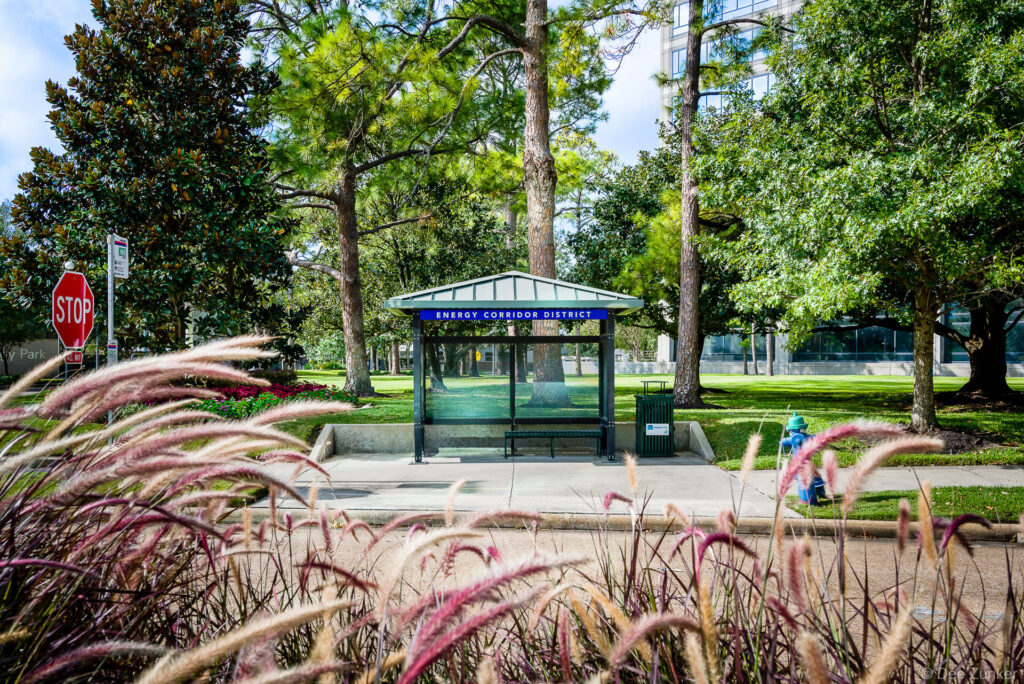 Covered bus shelter for Energy Corridor District on Gracie Lane, Houston, surrounded by mature trees and ornamental grasses.