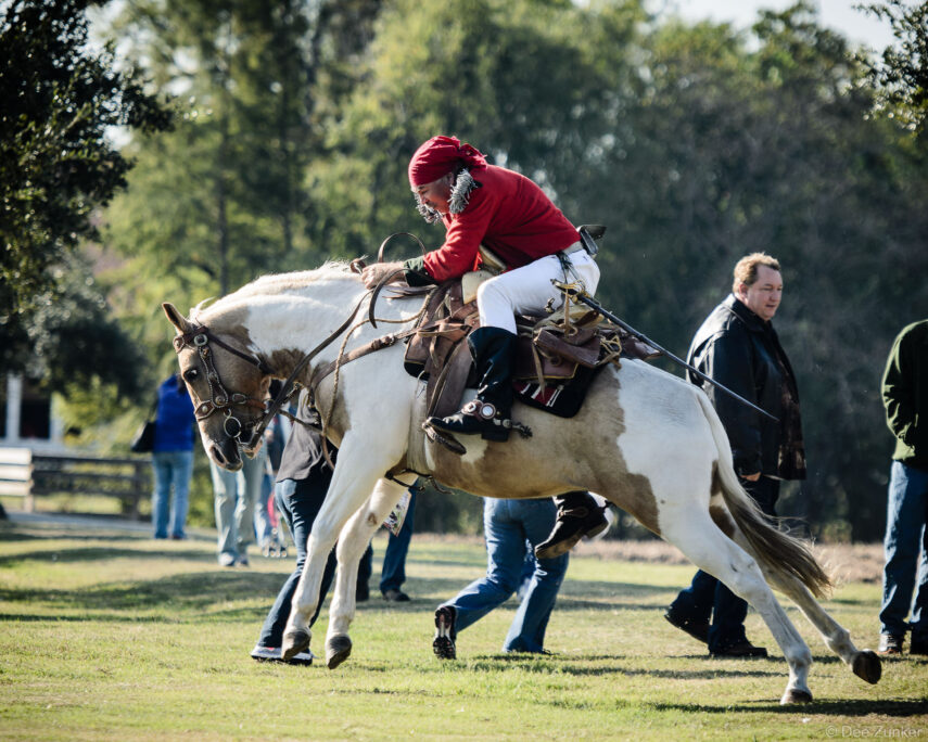 Rider in red jacket on painted horse at George Ranch Historical Park corporate event, Houston TX, photographed by Dee Zunker.